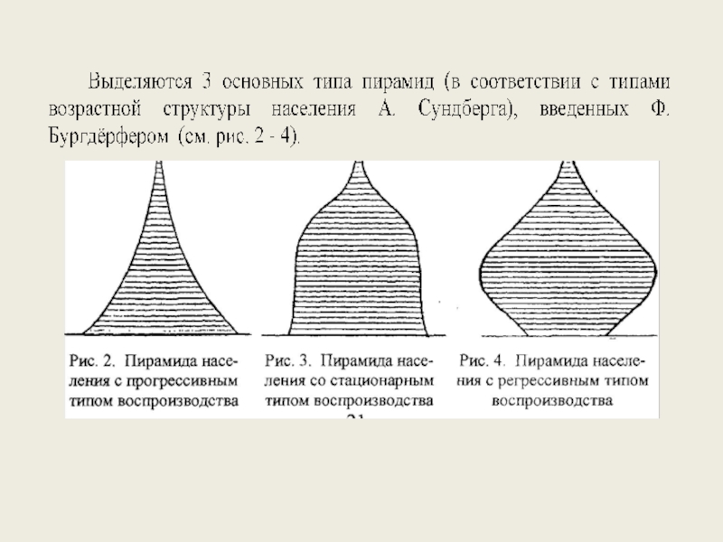 Реферат: Возрастная структура и воспроизводство населения