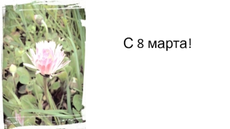 С 8 марта, Ленка