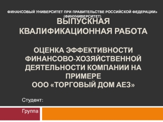 Оценка эффективности финансово-хозяйственной деятельности компании на примере ООО Торговый дом аез