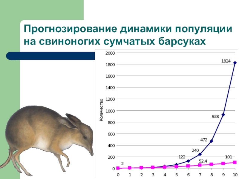 Динамика популяции презентация