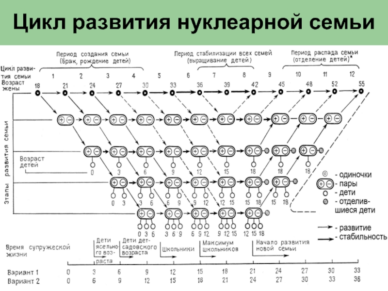 Число нуклеарных семей. Развитие нуклеарной семьи. Цикл развития семьи пример. Нуклеарная семья характеристика. Нуклеарная семья цикл развития.