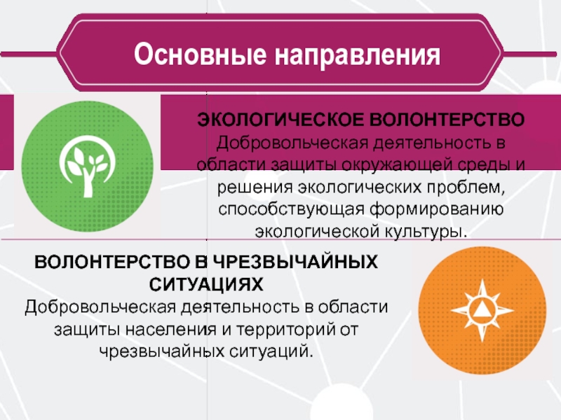 Экологические волонтерские проекты примеры