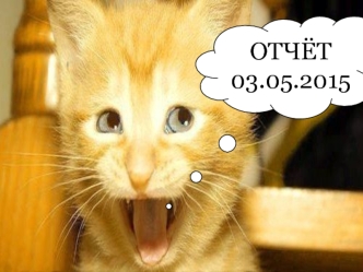 ОТЧЁТ 03.05.2015