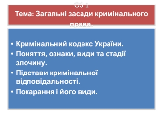 Загальні засади кримінального права