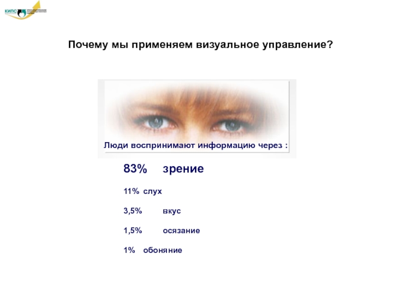 Органы которыми человек воспринимает информацию