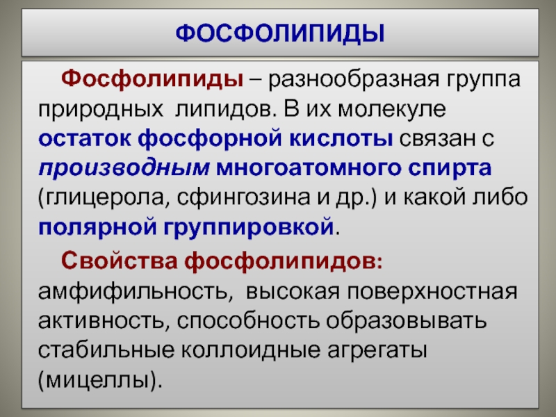 Чем отличаются фосфолипиды от остальных групп