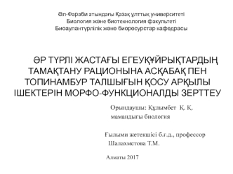 Әр түрлі жастағы егеуқұйрықтардың тамақтану рационына асқабақ пен топинамбур талшығын қосу арқылы