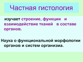 Частная гистология. Строение, функции и взаимодействие тканей в составе органов