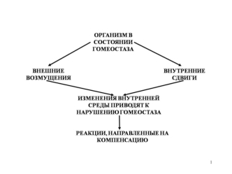 Эволюция систем регуляции