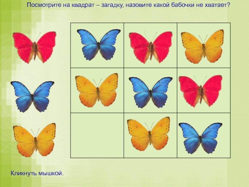 Бабочек какое число. Какая любовь такие и бабочки. Какая бабочка тоньше 21 или 23.