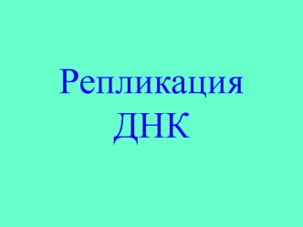 Репликация днк. Схема синтеза днк в репликативной вилке