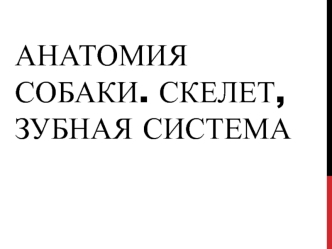 Анатомия собаки. Скелет, зубная система