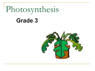 Photosynthesis. Grade 3