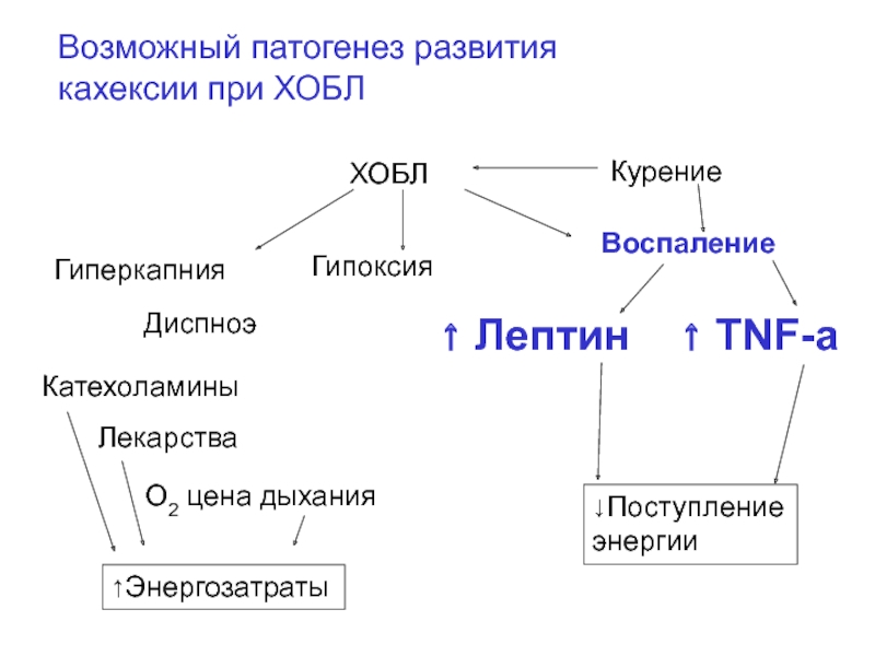 Схема патогенеза хобл