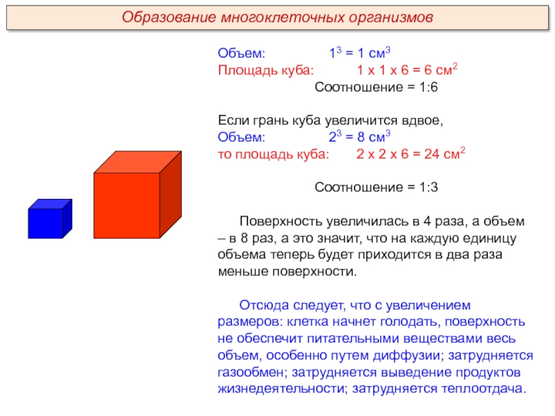 Объем:			13 = 1 см3 Площадь куба: 		1 х 1 х 6 =