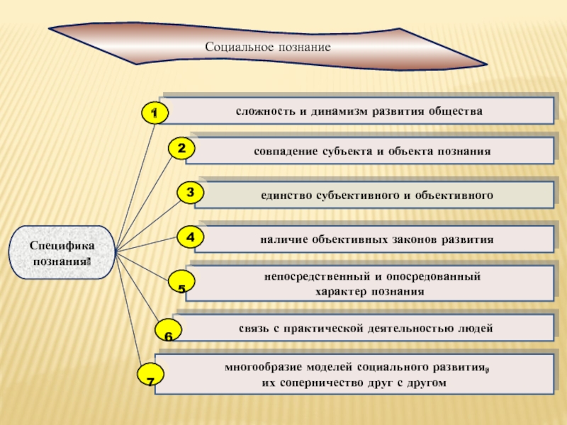 Динамизм социальной структуры примеры