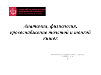 Анатомия, физиология, кровоснабжение толстой и тонкой кишок