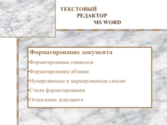 Текстовый редактор MS Word. Форматирование документа