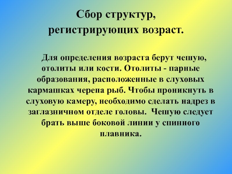 Как определить возраст рыбы по чешуе