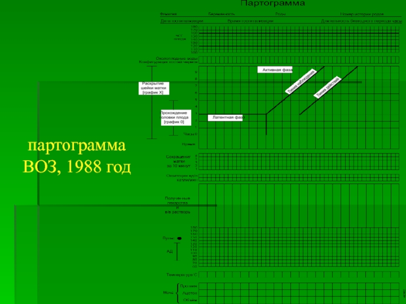 Партограмма в акушерстве образец