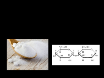 Дисахариды. Лактоза, сахароза, мальтоза. Польза и вред дисахаридов