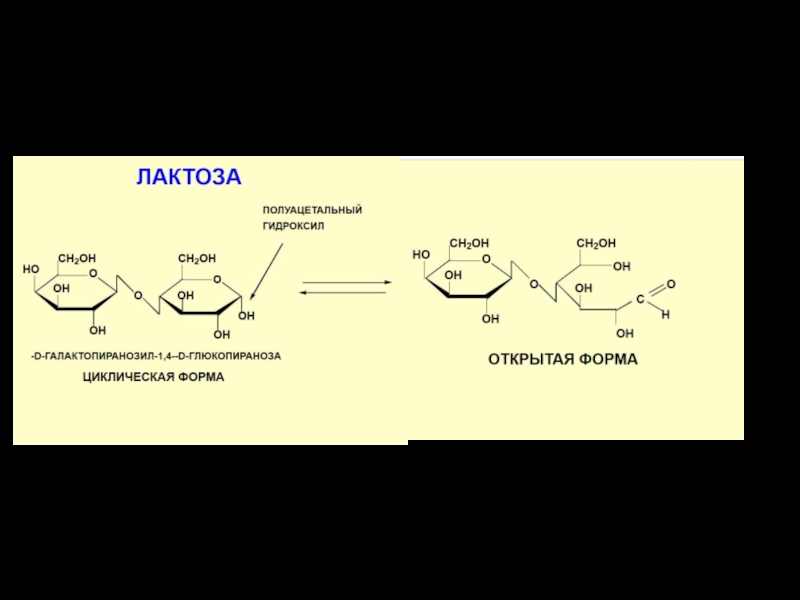 Лактоза химические свойства. Лактоза и вода. Качественная реакция на лактозу. Лактоза структурная формула.