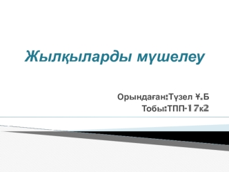 Жылқыларды мүшелеу