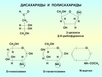 Дисахариды и полисахариды