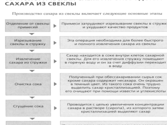 Производство сахара из свеклы