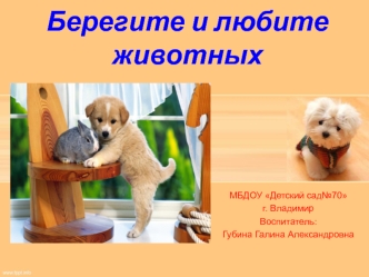 Берегите и любите животных