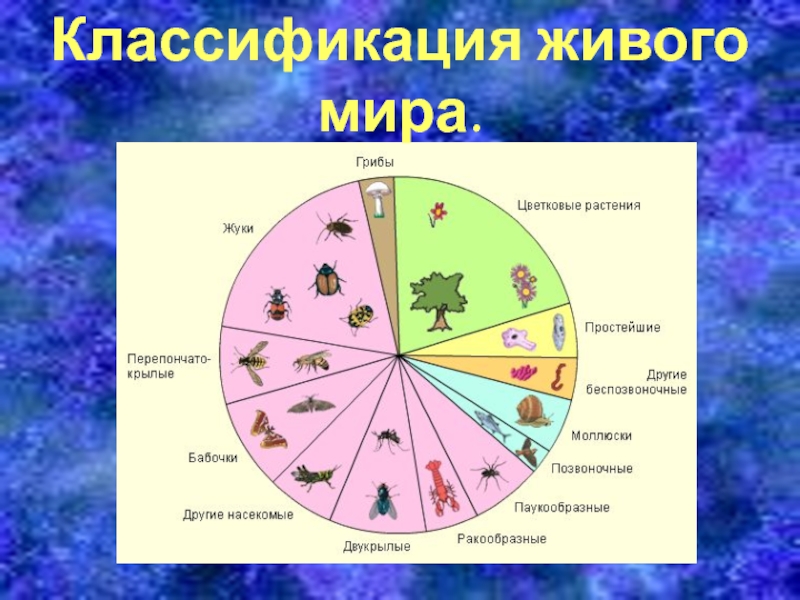 Классификация живых веществ. Классификация живого.