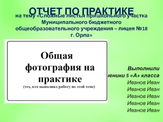 Отчет по практике на тему Сложные листья пришкольного участка Муниципального бюджетного общеобразовательного учреждения