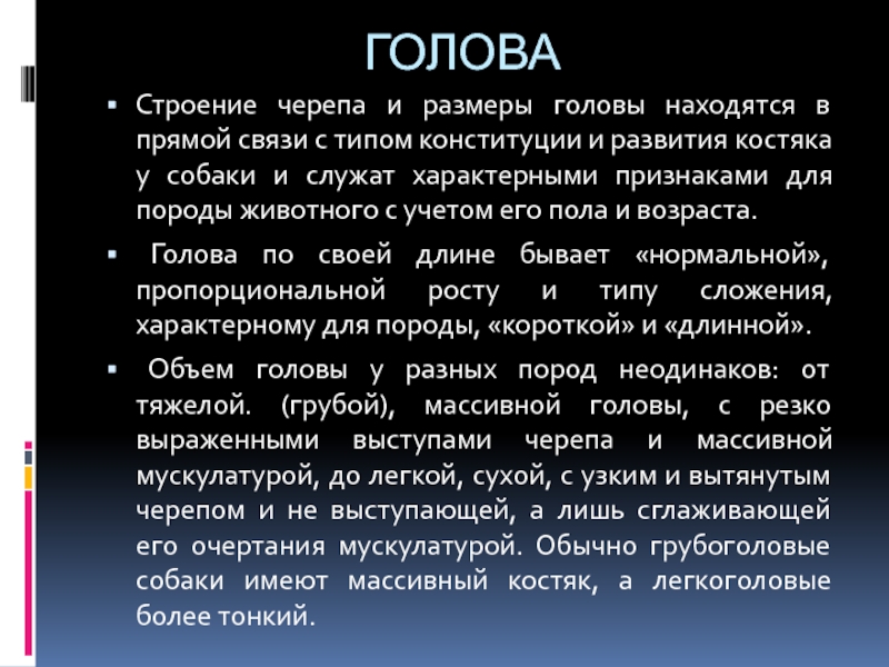 Доклад: Конституція та екстер’єр собаки