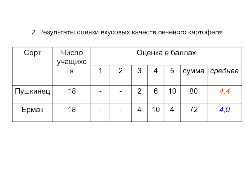 Накопление крахмала в клубне картофеля