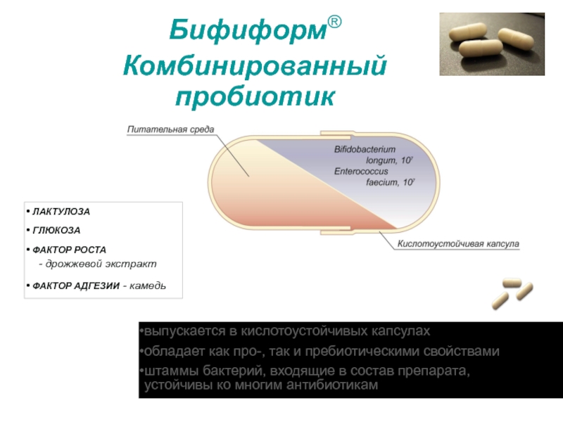 Благодаря антибиотикам многие заболевания перестали впр. Дрожжевой экстракт состав. Кислотоустойчивые бактерии адгезии. Антибиотики для кислотоустойчивых бактерий. Дрожжевой экстракт презентация.