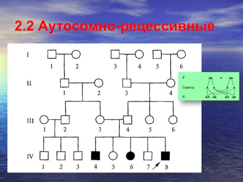 Аутосомно рецессивный