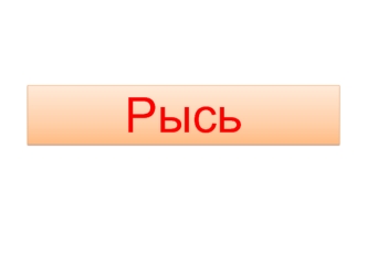 Рысь. Внешний вид