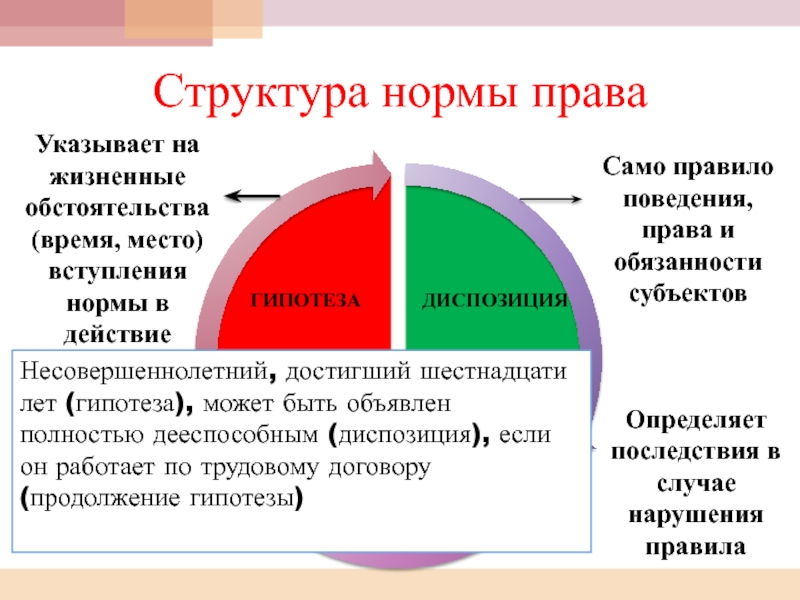 Само правило. Структура нормы. Структура нормы права. Структура нормы поведения. Структура нормы права поведения.