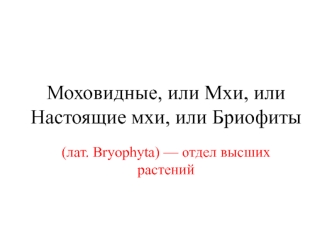 Моховидные, мхи, настоящие мхи, бриофиты (лат. Bryophyta) — отдел высших растений