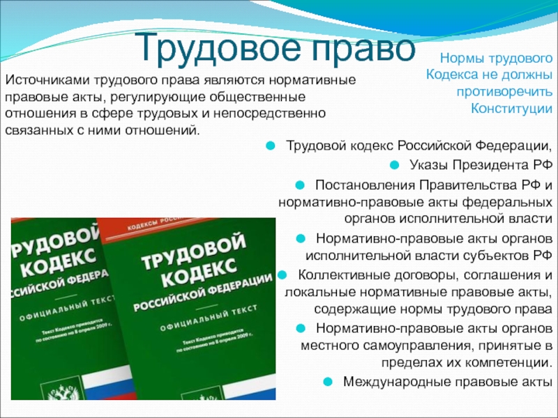 Реферат: Правовые отношения в сфере наемного труда