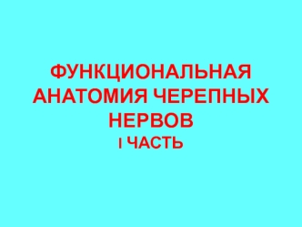 Функциональная анатомия черепных нервов