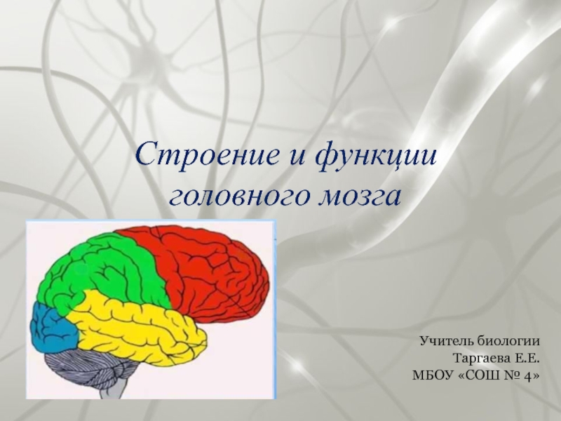 Доклад по теме Вещества головного мозга