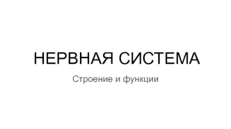 Нервная система. Строение и функции