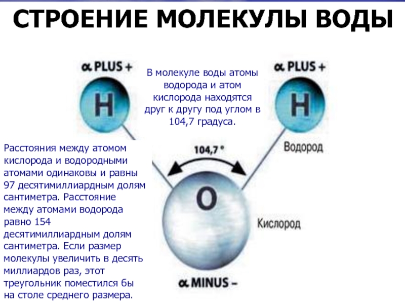 Атомы воды образованы