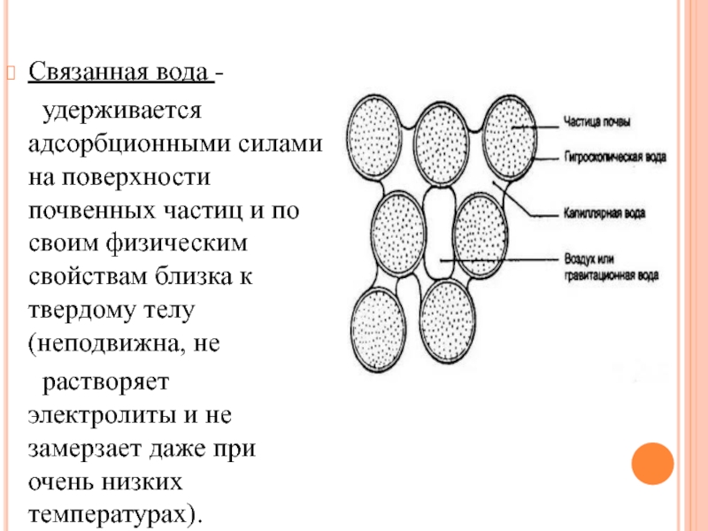 Связанная вода. Адсорбционно связанная вода. Вода удерживается поверхностью глинистых частиц. Связанная вода схема. Связанная вода свойства.