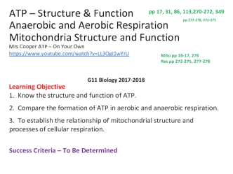 ATP – Structure & Function/ Anaerobic and Aerobic Respiration Mitochondria Structure and Function