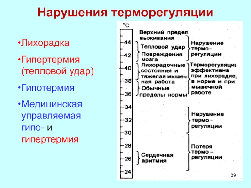 Лихорадка теплоотдача и теплопродукция