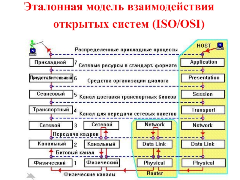 Какая характеристика не относится к стандарту образец эталон модель