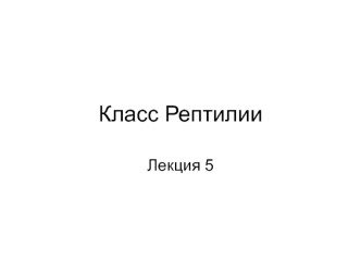 Класс Рептилии