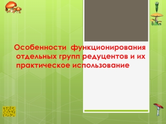 Особенности функционирования отдельных групп редуцентов и их практическое использование